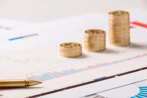 《夏天守则》解读