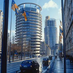 柚子含义大全女孩